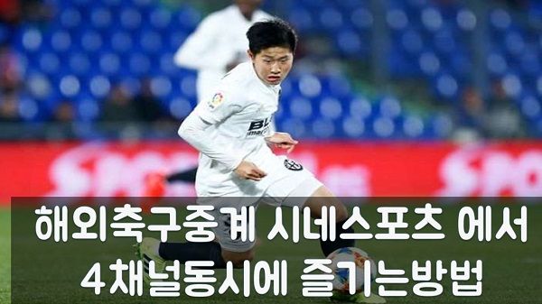 해외축구중계 시네스포츠