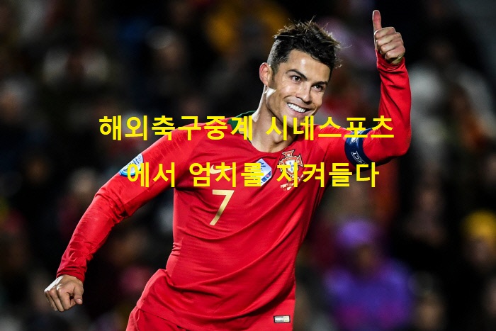 해외축구중계 시네스포츠